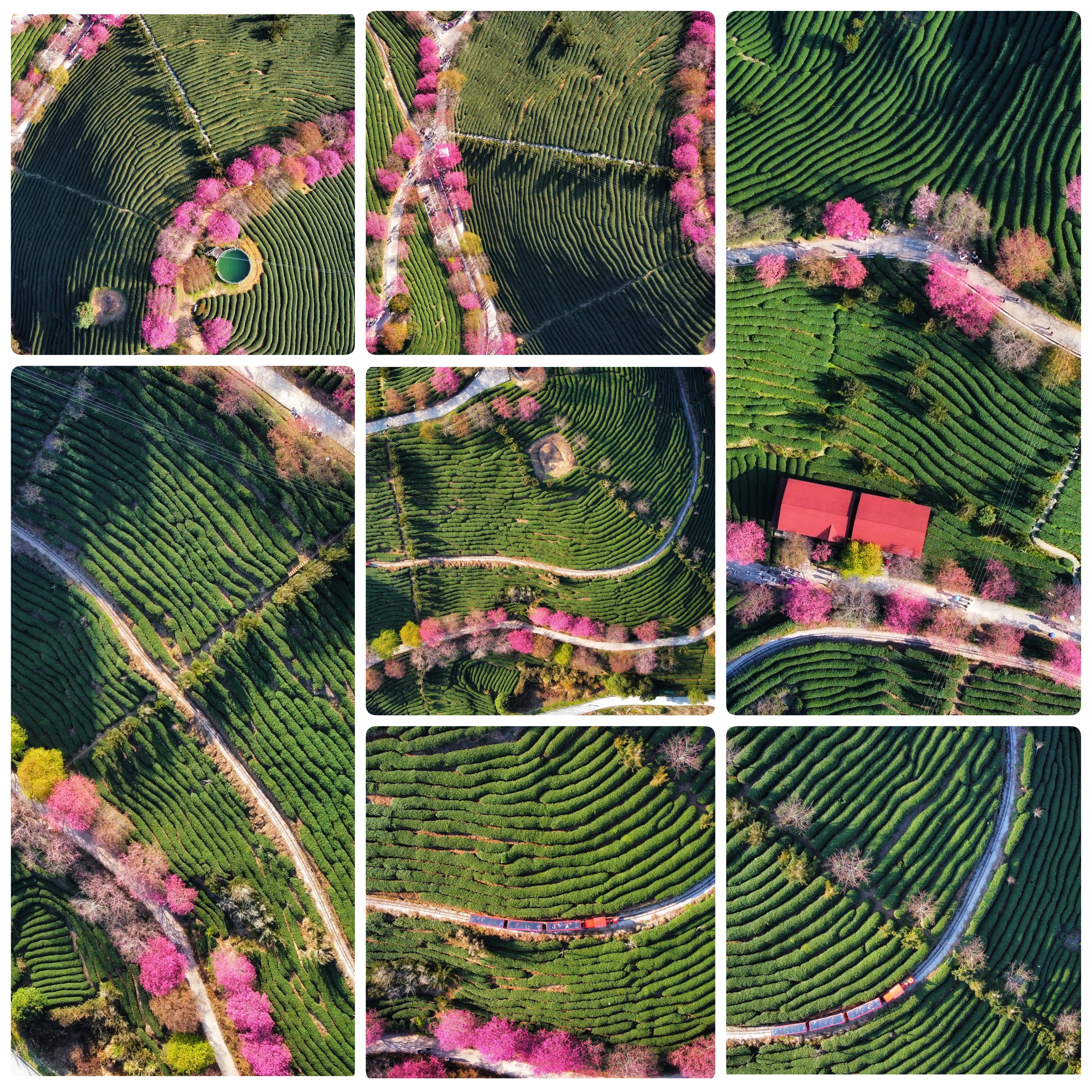 旅行风光作品052